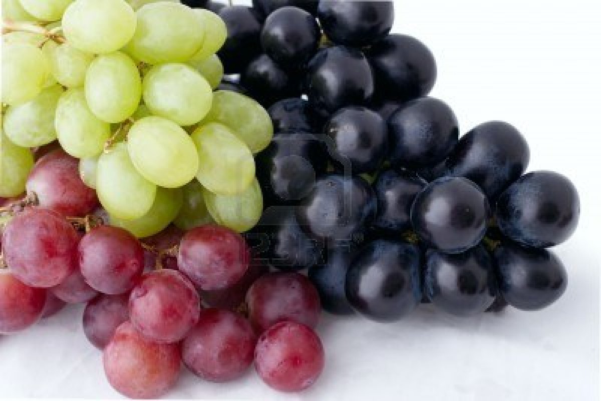 777201-bunch-of-isolated-dark-green-and-red-grapes-on-white-background