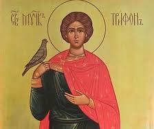 Pe 1 februarie crestinii ortodocsi il sarbatoresc pe Sfantul Mucenic Trifon